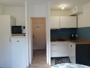 Appartement T2bis proche centre, 4-6 pers, parking - FR-1-234-297
